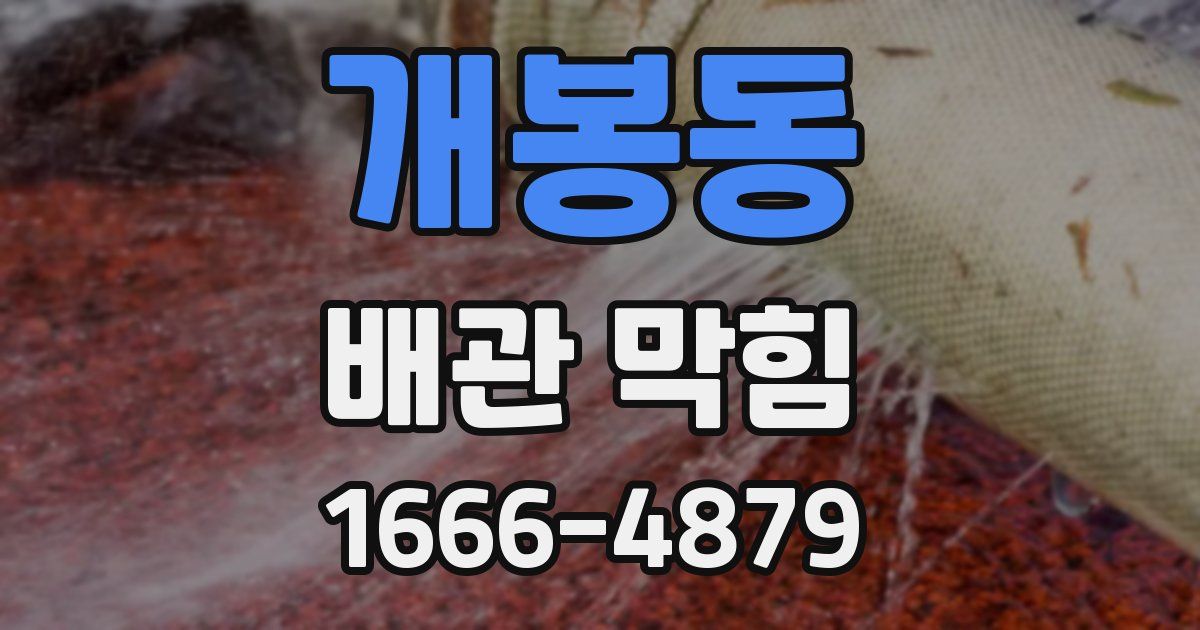 개봉동 배관 막힘