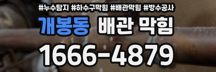 개봉동 배관 막힘