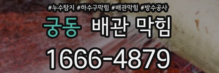 궁동 배관 막힘