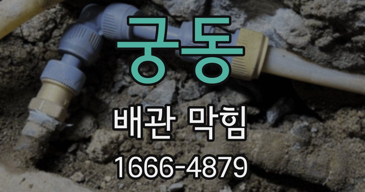 궁동 배관 막힘