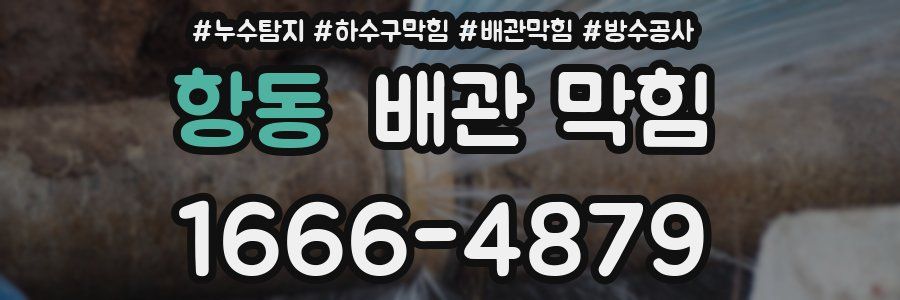 항동 배관 막힘