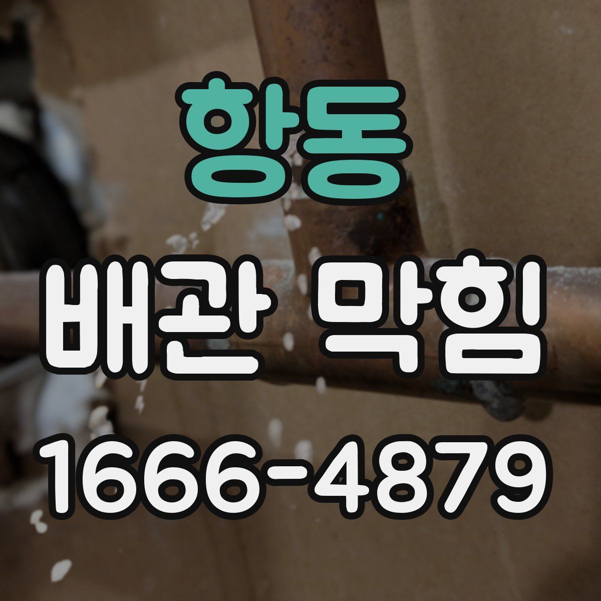 항동 배관 막힘
