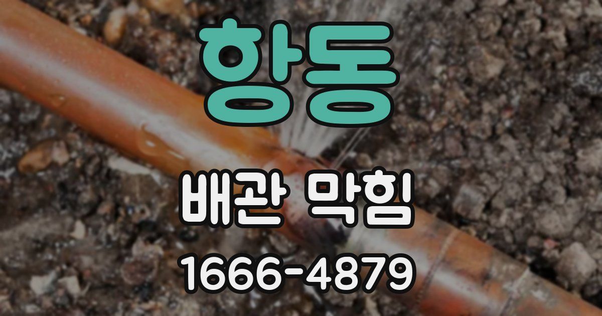 항동 배관 막힘