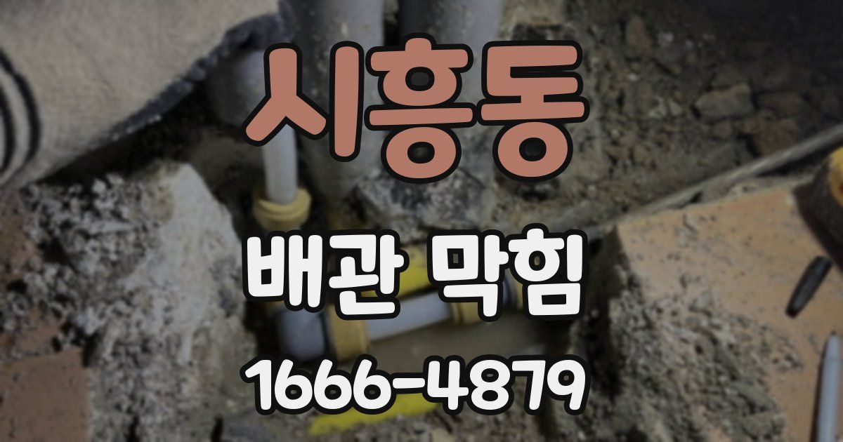 시흥동 배관 막힘