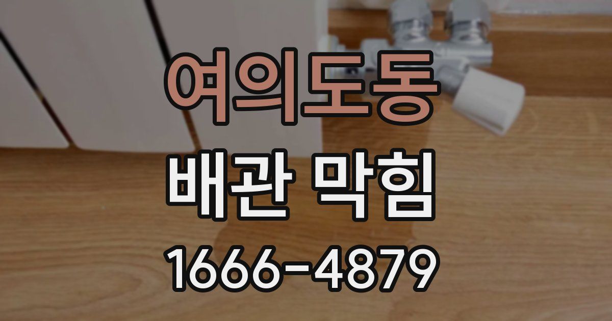 여의도동 배관 막힘