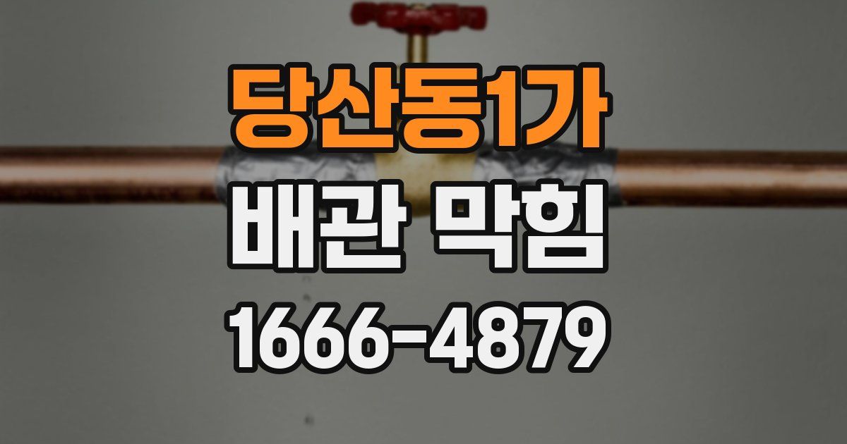 당산동1가 배관 막힘