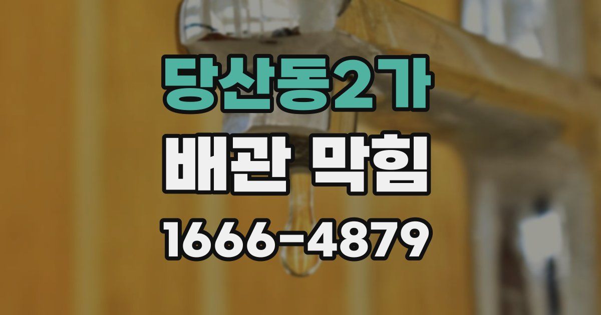당산동2가 배관 막힘