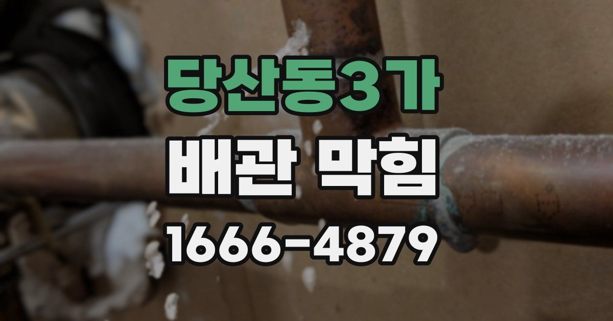 당산동3가 배관 막힘