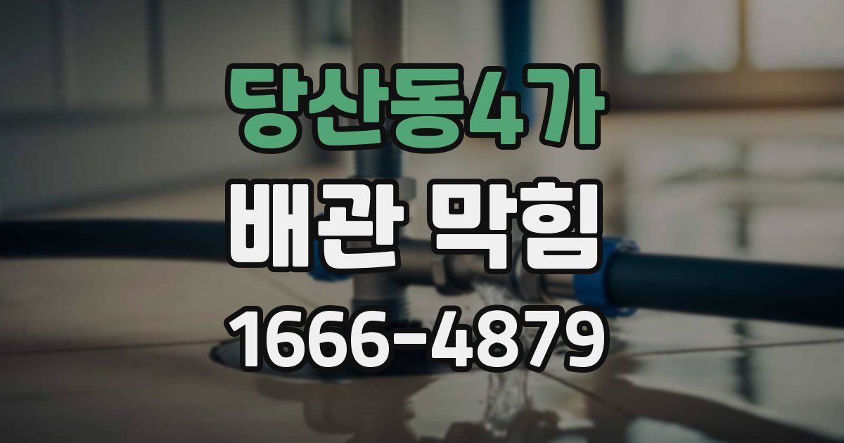 당산동4가 배관 막힘