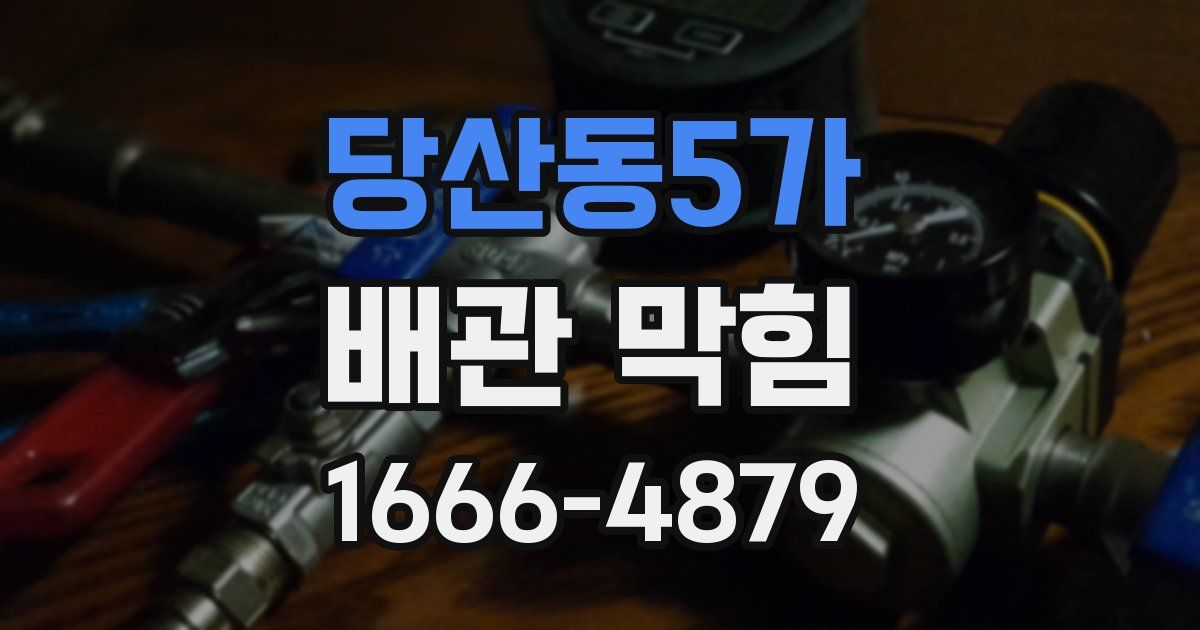 당산동5가 배관 막힘