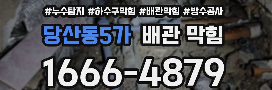 당산동5가 배관 막힘