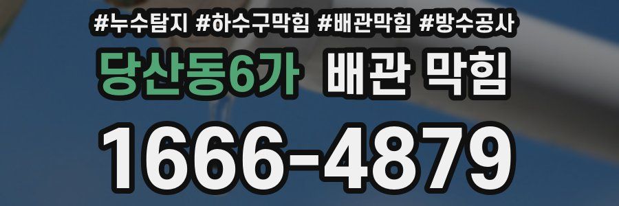 당산동6가 배관 막힘