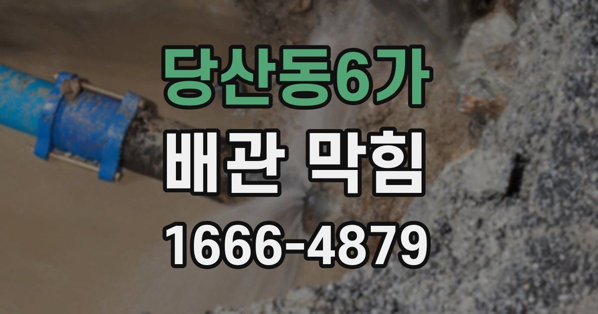 당산동6가 배관 막힘