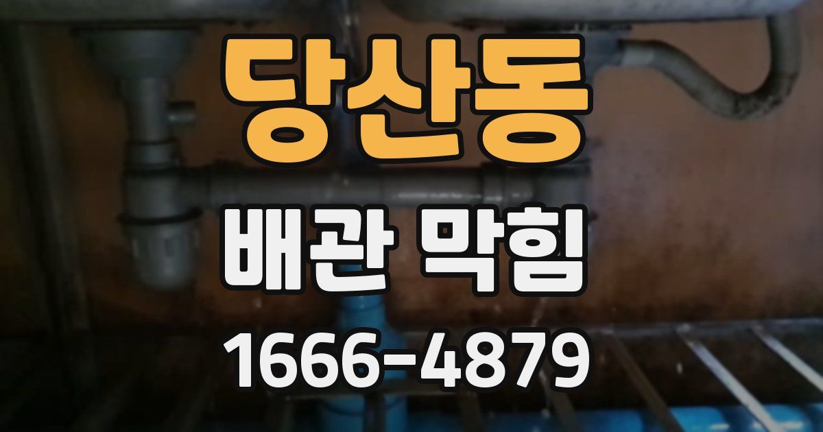 당산동 배관 막힘