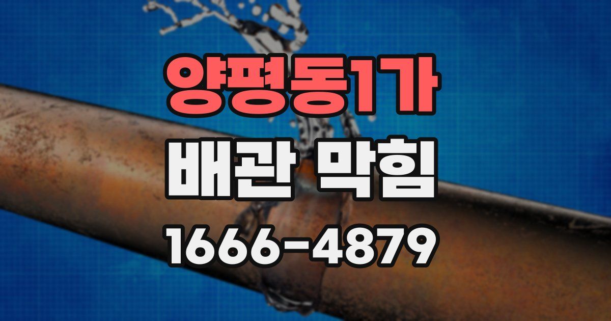 양평동1가 배관 막힘