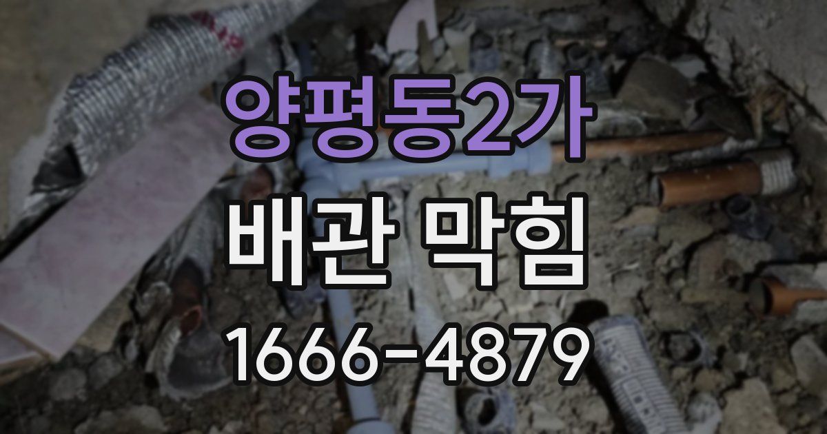 양평동2가 배관 막힘