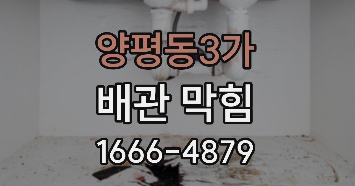 양평동3가 배관 막힘