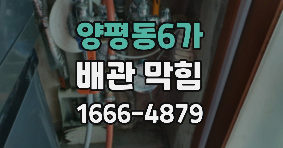 양평동6가 배관 막힘