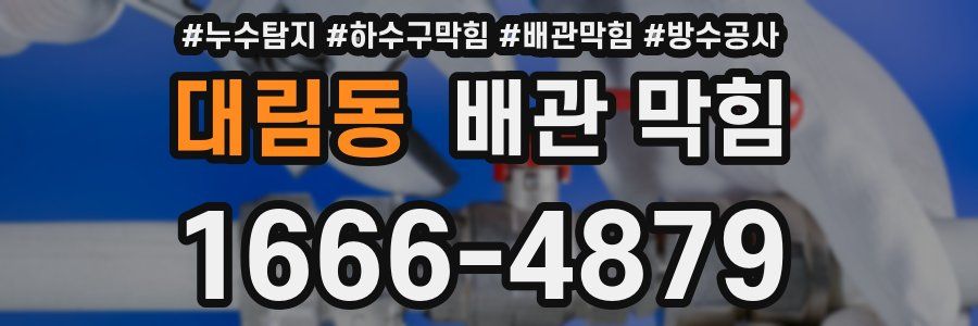 대림동 배관 막힘
