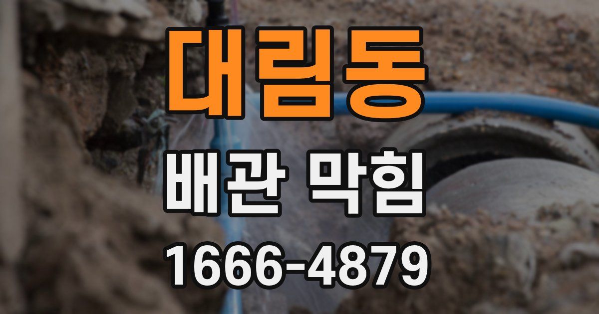 대림동 배관 막힘