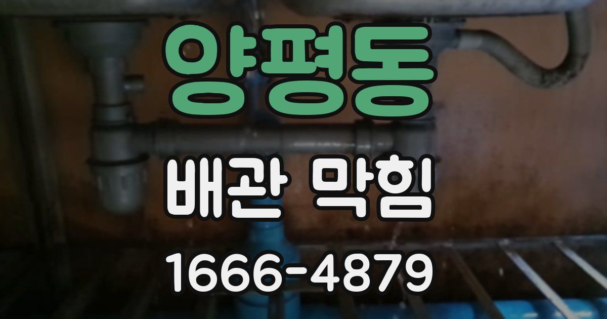 양평동 배관 막힘