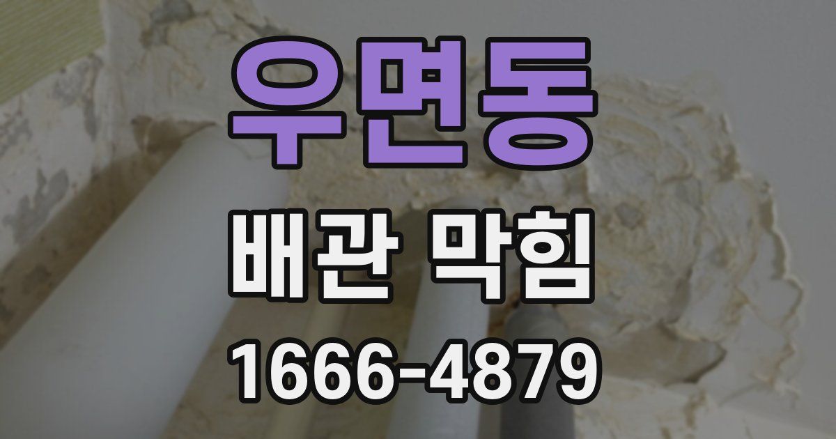 우면동 배관 막힘