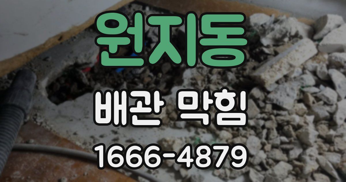 원지동 배관 막힘