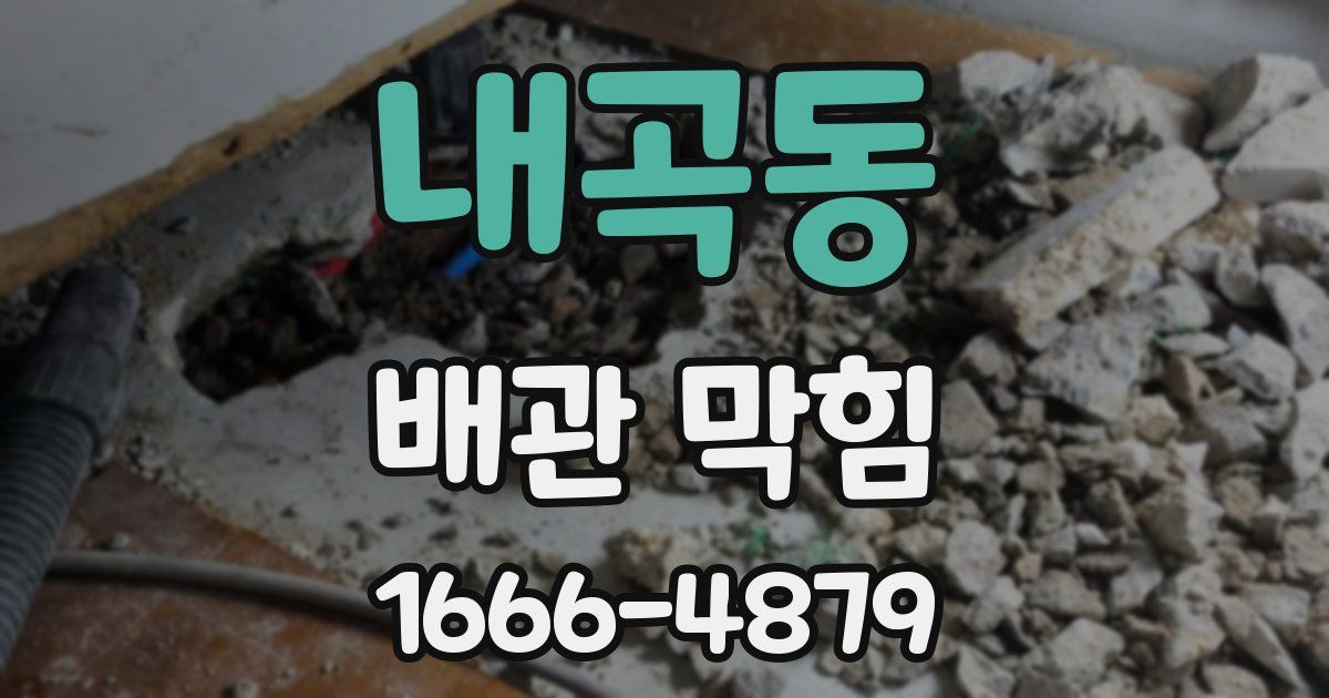내곡동 배관 막힘