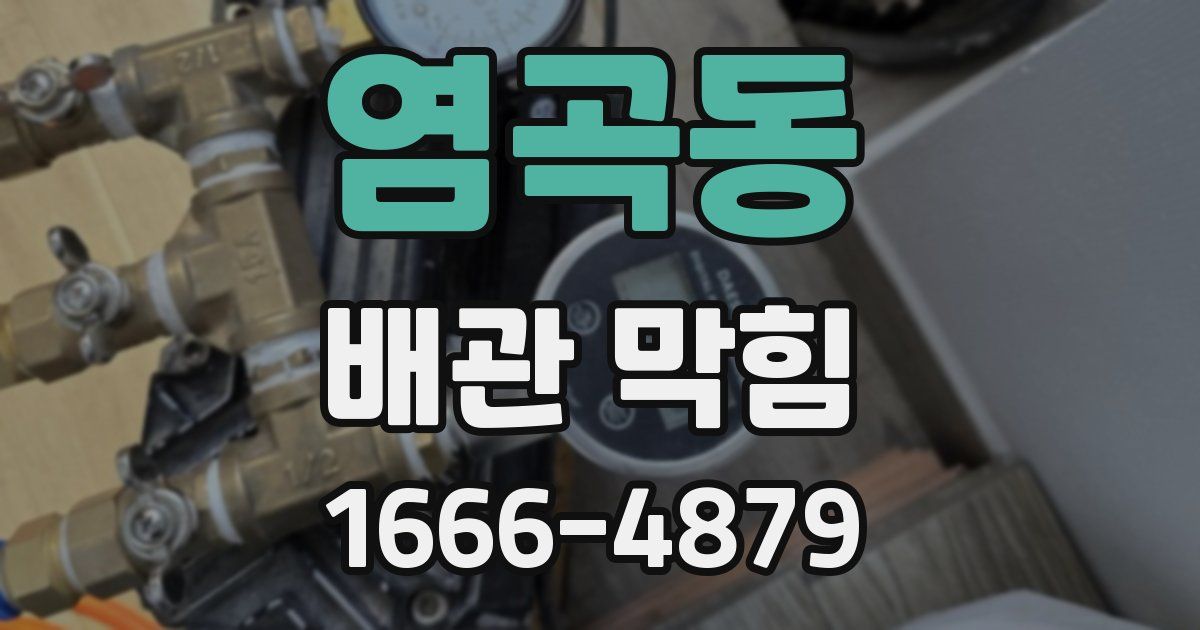 염곡동 배관 막힘