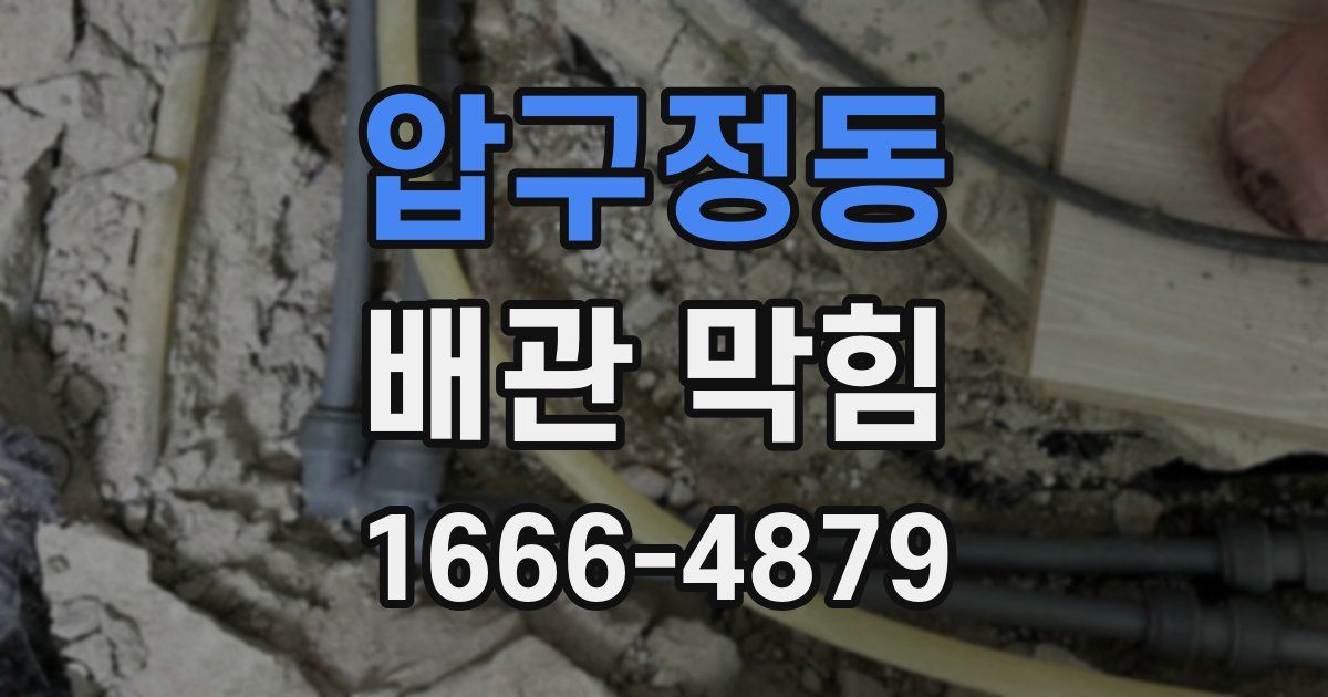 압구정동 배관 막힘