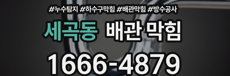 세곡동 배관 막힘