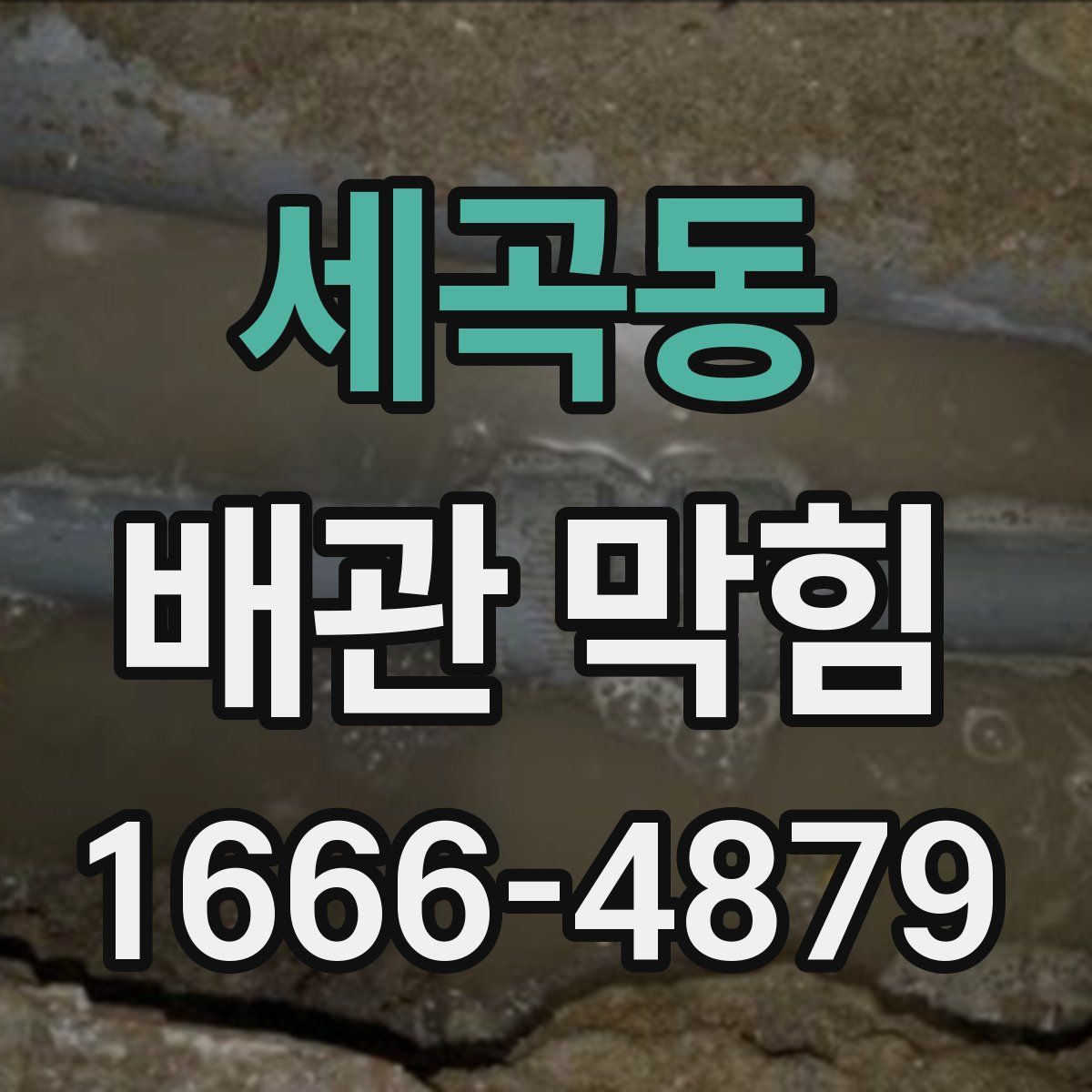 세곡동 배관 막힘
