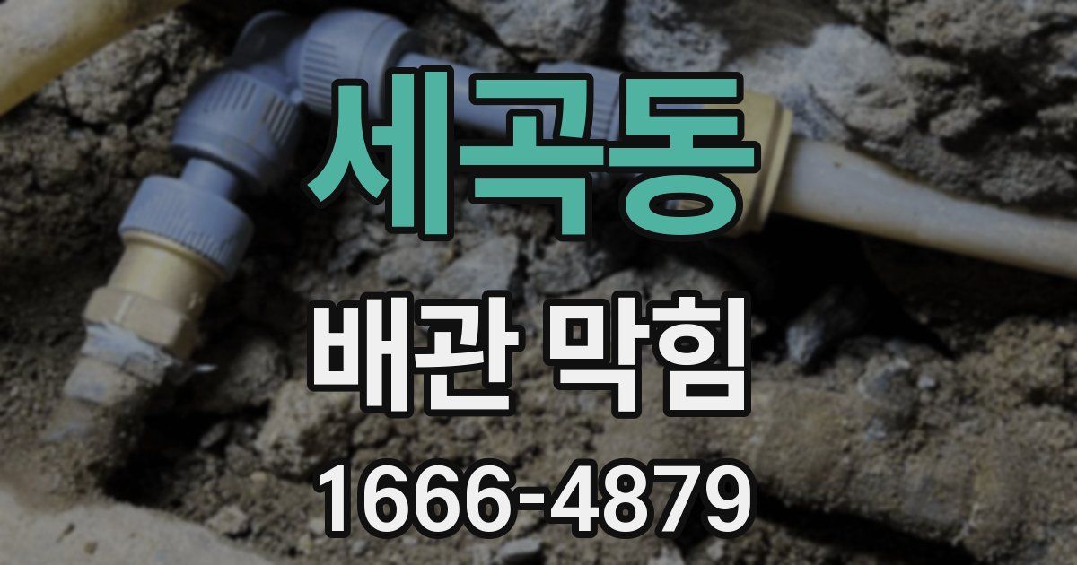 세곡동 배관 막힘