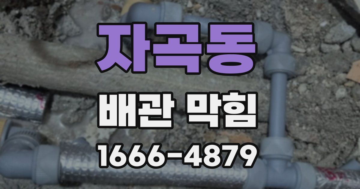 자곡동 배관 막힘