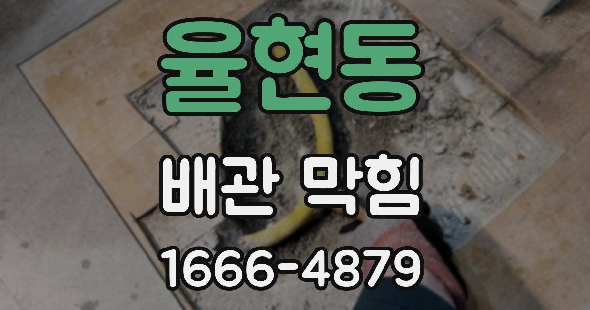 율현동 배관 막힘