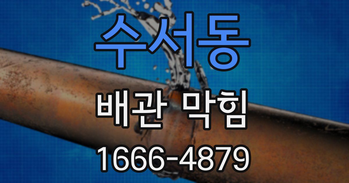 수서동 배관 막힘