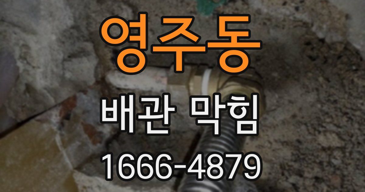 영주동 배관 막힘