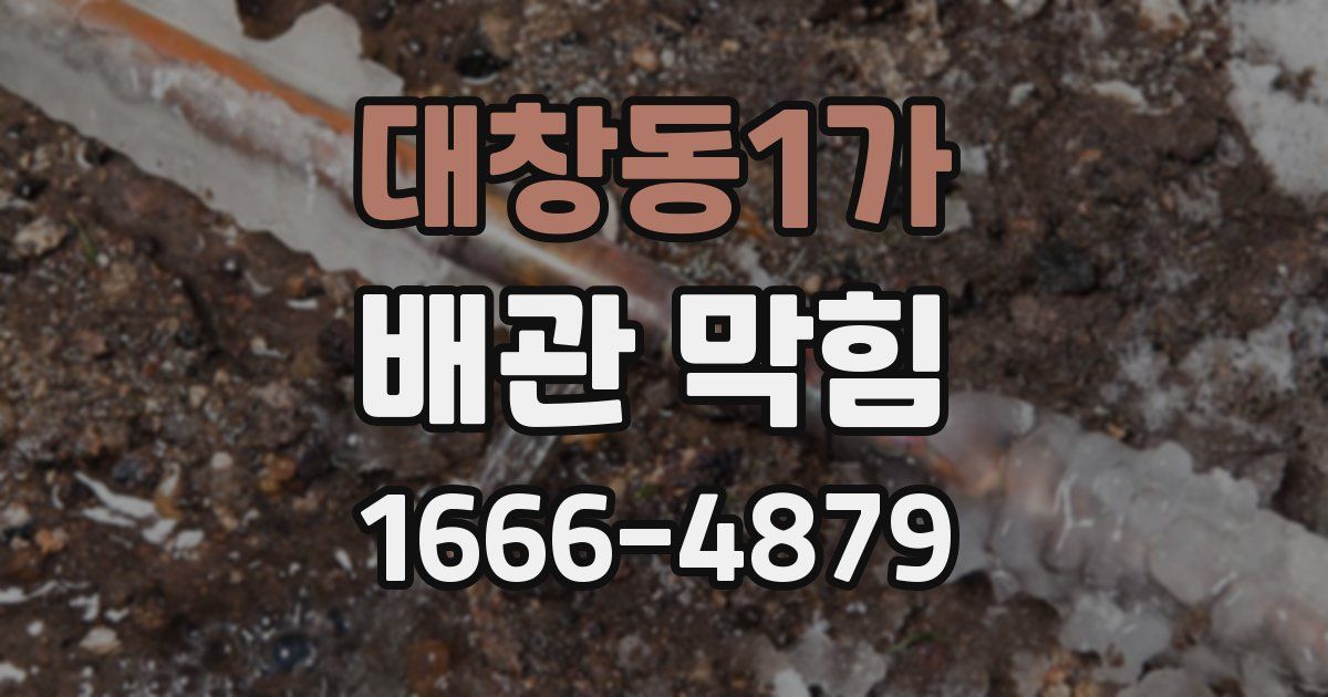 대창동1가 배관 막힘