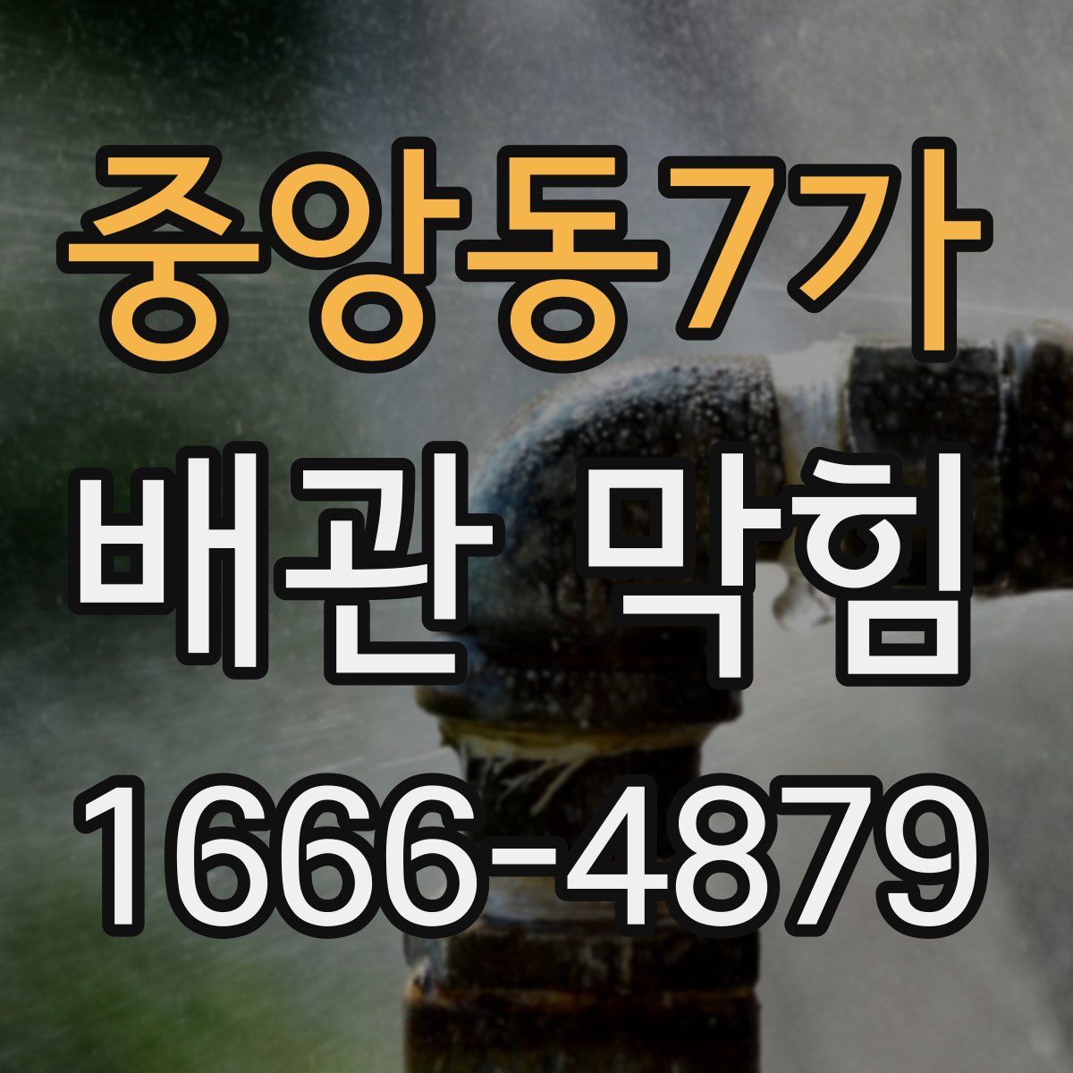 중앙동7가 배관 막힘