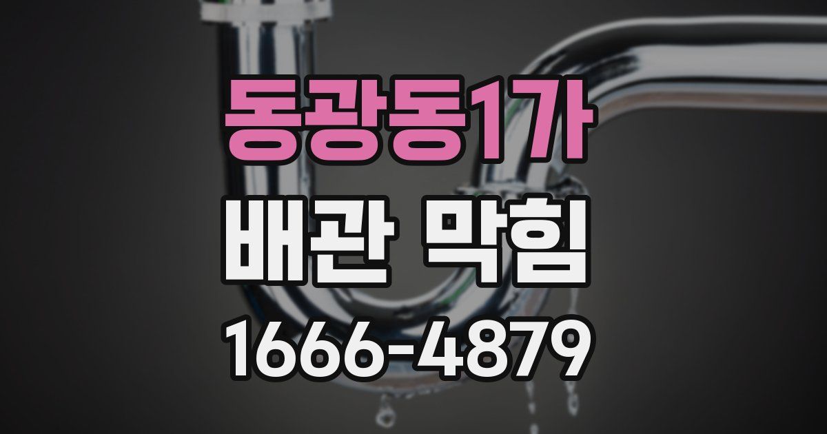 동광동1가 배관 막힘