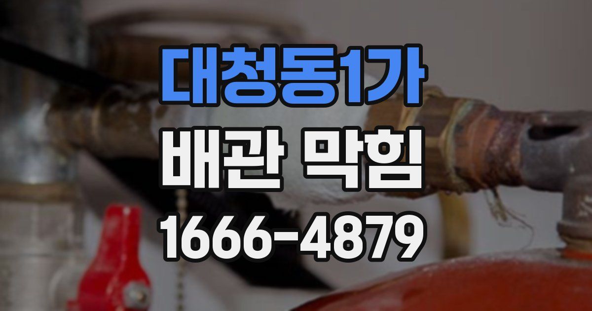 대청동1가 배관 막힘