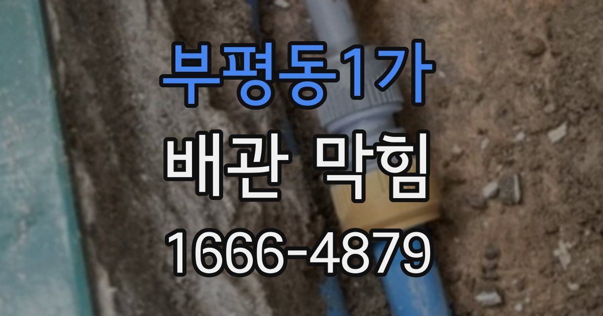 부평동1가 배관 막힘