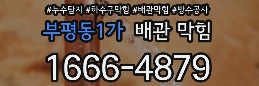 부평동1가 배관 막힘