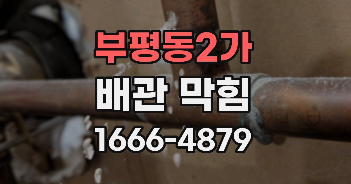 부평동2가 배관 막힘