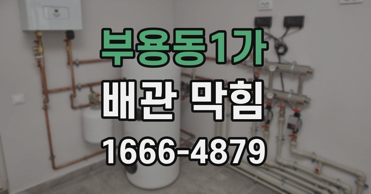 부용동1가 배관 막힘