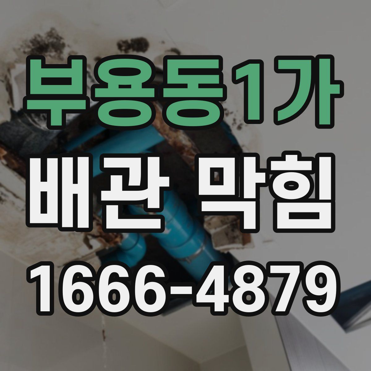부용동1가 배관 막힘