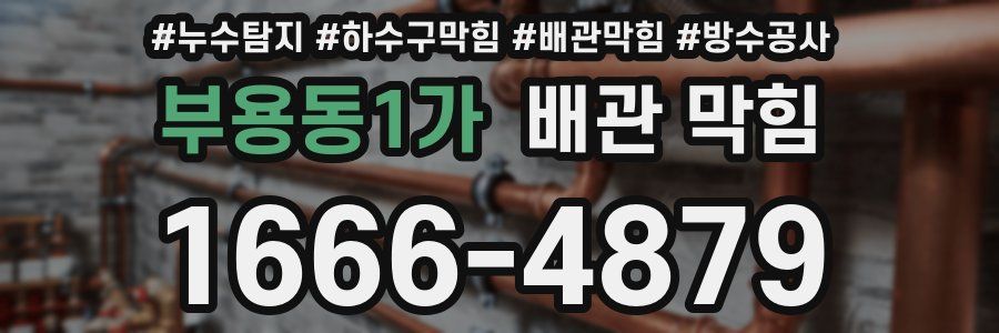 부용동1가 배관 막힘