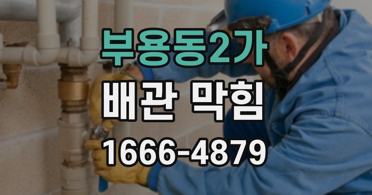 부용동2가 배관 막힘