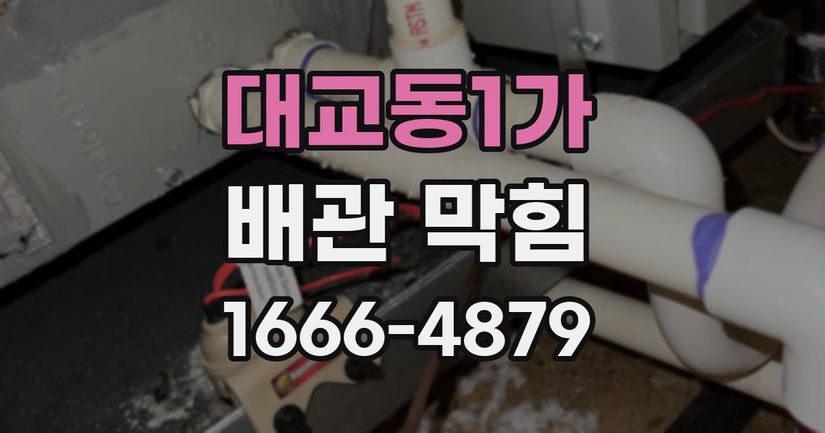 대교동1가 배관 막힘