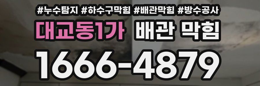 대교동1가 배관 막힘